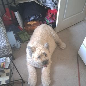 Meet your Posher, Helen